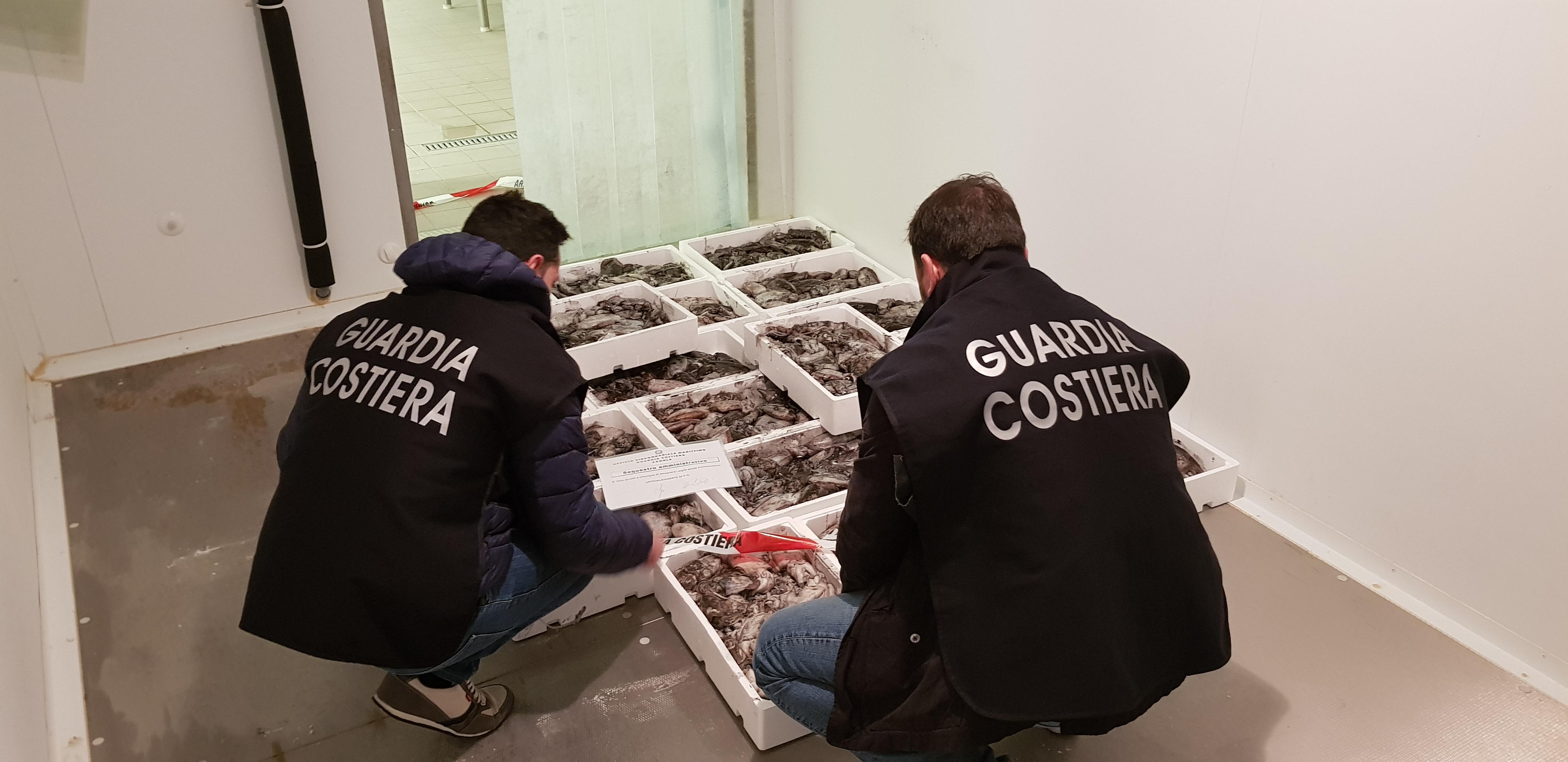 CAORLE: LA GUARDIA COSTIERA SEQUESTRA 112 KG DI PESCE